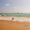 Хиккадува, Шри-Ланка — подробный обзор пляжа и города